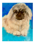 Pet Pastel 17
