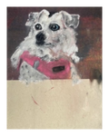 Pet Pastel 26