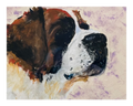 Pet Pastel 3