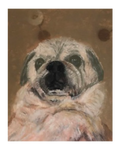 Pet Pastel 7