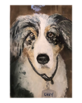 Pet Pastel 8