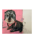 Pet Pastel 25